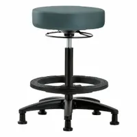 Stool: Vinyl, Ht Range 24 1/2 in to 34 1/2 in, 17 in Seat Wd, 17 in Seat Dp, 5 Glides, 0 Casters (MPN BR-VHBSO-RG-BF-RG-8546)