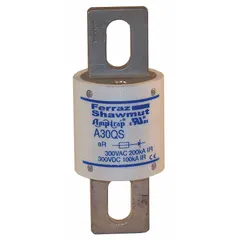 Fast-acting bolt-on fuse rated 300 A at 300 V AC and 300 V DC. Designed for overcurrent protection in power electronic circuits such as AC/DC drives, inverters, and power supplies. Features a bolt-on mounting style for secure installation.