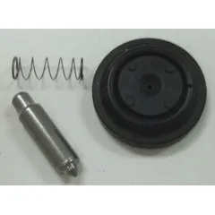 Lower repair kit for AST4 valves used in wash fountains. Includes armature, diaphragm, and spring. Constructed with stainless steel and rubber components for valve maintenance.