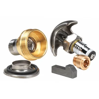 BRADLEY Retrofit Wall Shower (MPN S65-095B) - Valves & Valve Parts for Bathtubs & Showers