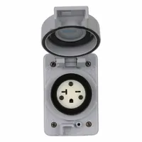 Straight Blade Receptacle: Single, 6-20R, Gray, 250V AC, 20 A, 2 Pole / 3 Wire (MPN LNR96-4)