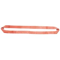 LIFT-ALL Web Sling: Type 5, Nylon, 1 Plies, 4 ft Sling Lg, 1 in Sling Wd (MPN EN1601NX4)
