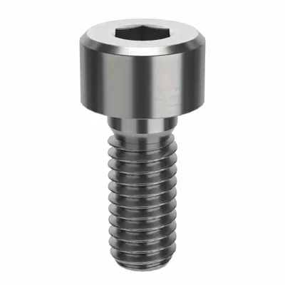 FOREVERBOLT Socket Head Cap Screw: M4x0.70 Thread Size, 10 mm Lg, Std, NL-19, Stainless Steel - Metric System Standard Socket Head Cap Screws