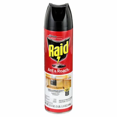 RAID Ant and Roach Killer: For Use On Crawling Insects, Aerosol Spray Can - Insecticides for Crawling Insects