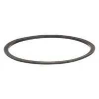 Replacement gasket for 2-gallon paint tanks used in industrial finishing systems. Provides a seal to prevent leaks and maintain pressure during fluid delivery in spray booths and automated painting lines