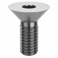 Socket Flat Head Screw: #10-32 Thread Size, 1/2 in Lg, Flat, NL-19, Stainless Steel, 18-8, 100 PK (MPN FBFTFHEADS103212P100)