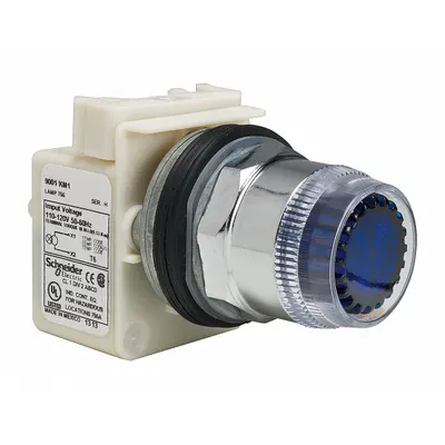 SCHNEIDER Flush Push Button: Blue, 30 mm Mounting Size, Metallic - Illuminated Flush-Mount Push-Button Operators