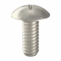 Machine Screw: 1/4"-20 Thread Size, 5/8 in Lg, 18-8, Stainless Steel, NL-19, Truss, Phillips, 100 PK (MPN FBTHMSP142058P100)