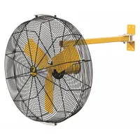 BIG ASS FANS Mounted Fan: 30 in Blade Dia, 120V AC, 1/3 hp Motor HP, Post Mount, Non-Oscillating (MPN F-AE1-3001L12S34)