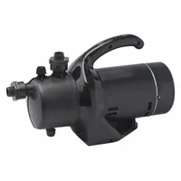 DAYTON Utility Pump: 115V AC, 134 ft Max head, MNPT Intake, 1 in Hose, 10 ft Cord Lg, 1 in MNPT