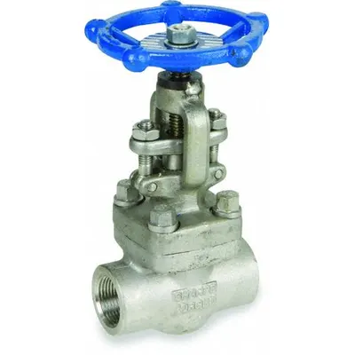 SHARPE Globe Valves: For Steam Media, 316L Stainless Steel, 3/4 in Pipe Size, Socket x FNPT - Stainless Steel Straight-Body General-Service Globe Valves