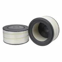 FLEETGUARD Automotive Air Filter: Round-Oval, Engine, Axial Seal, 19 1/4 in Outside Dia, Caterpillar (MPN AF4609)