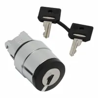 SCHNEIDER ELECTRIC Keyed Selector Switch: 2 Position, 22 mm Panel Mounting Size, Series XB4 (MPN ZB4BG612)