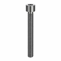 Socket Head Cap Screw: 1/4"-20 Thread Size, 2 in Lg, Std, Plain, Stainless Steel, 316 H5 (MPN ZSS61614C32)