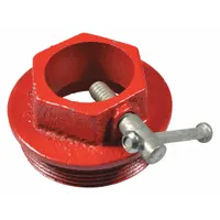 WESTWARD Bung Adapter: Bung Adapter, TBD, TBD, TBD (MPN TTGNBDN01G)