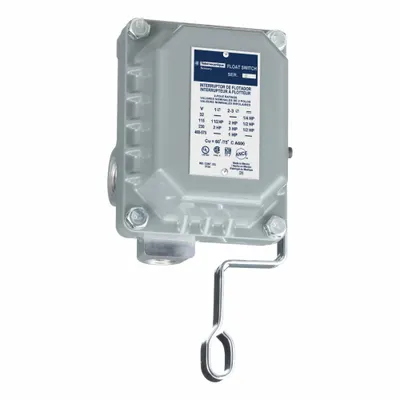 TELEMECANIQUE SENSORS 9036DW31 Lever-Operated Open-Tank Float Switch - Lever-Operated Open-Tank Float Switches