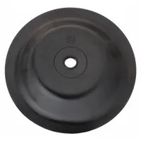 DAYTON Diaphragm: Polypropylene, 1 in For Pump Size, 0°F to 180°F, 772962