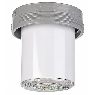 HUBBELL KILLARK Light Fixture: 1,625 lm, T5 Temp Code, 5000K, 16 W, 120 to 277V AC - Hazardous Location Light Tanks