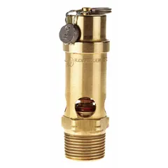 Soft seat pneumatic safety valve with brass body and silicone seat. 3/4 in (M)NPT inlet and 3/4 in (F)NPT outlet. Used to relieve overpressure in compressed air systems and other pneumatic applications.