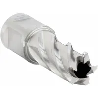 SLUGGER BY FEIN Annular Cutter: 11/16 in Cutter Dia, 1 in Max Cutting Dp, Bright, High Speed Steel (MPN 63134174121)