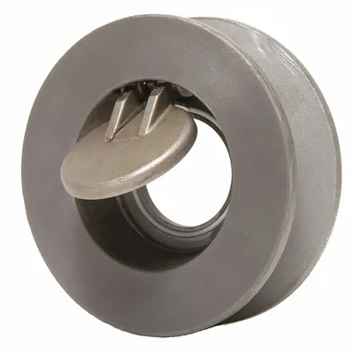 CHAMPION Check Valve: Swing, Inline Valve Body, 8 in Pipe Size, Wafer, 316 Stainless Steel - 316 Stainless Steel Wafer Spring-Loaded Swing Check Valves