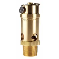 Soft seat pneumatic safety valve with brass body and brass components, silicone seat. Inlet: 1 in male NPT, outlet: 5/8 in female NPT. Provides overpressure relief in pneumatic systems for air or gas applications.