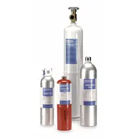 INDUSTRIAL SCIENTIFIC Calibration Gas: Nitrogen, +/-10% Accuracy, CL2, Calibration Gas, Cylinder (MPN 18101758)