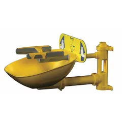This wall-mount eyewash station provides eyes and face coverage for emergency irrigation. It features an uncovered plastic bowl and push-plate activation. Designed for plumbed installation in industrial settings where immediate flushing of contaminants is required.