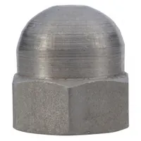 DAYTON Low Crown Acorn Nut: For 2ZWZ6-2ZXA8/2ZXJ1-K3/2ZXL7-R7 (MPN PPL3601G)
