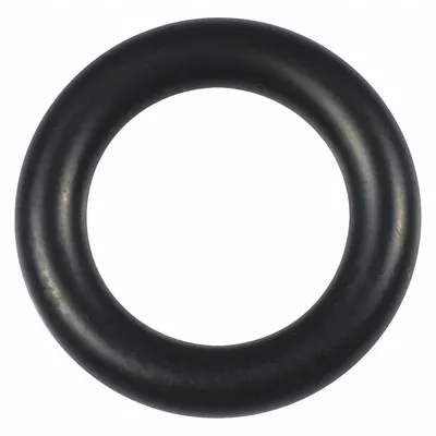 Dayton Compression Nut O-Ring: Compression Nut O-Ring, PPORGVBS110G - Seals & Gaskets