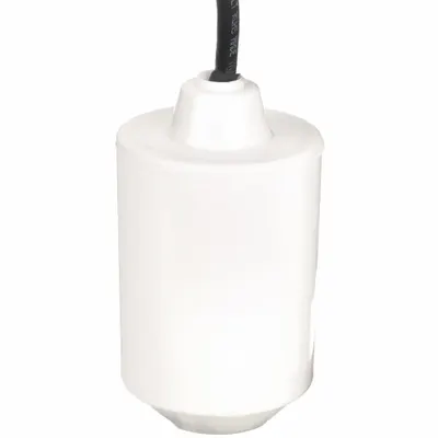 Dayton Float Switch: Normally Closed (Pump Up), 115V AC, 10 ft Cord Lg, 45° Below Horizontal - General-Purpose Tether Float Switches