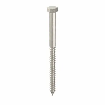 FOREVERBOLT Hex Head Lag Screw: 3/8 in Size, 5 1/2 in Lg, Stainless Steel, NL-19 - 18-8 Stainless Steel Hex Head Lag Screws