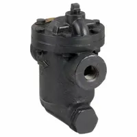 Steam Trap: Cast Iron, 1/2 in FNPT, 690 lb/hr, 125 psi Max., 450°F Max., Strainer Included (MPN B0125S-2)