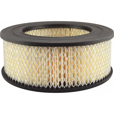 BALDWIN FILTERS Round/Oval Engine Air Filter PA1861 - Round/Oval Engine Air Filters