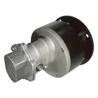 PULSAFEEDER Rotary Gear Pump Head: Magnetic Drive, 316 Stainless Steel, 3/4" FNPT, PTFE, 316 SS (MPN E25ALUO-S)