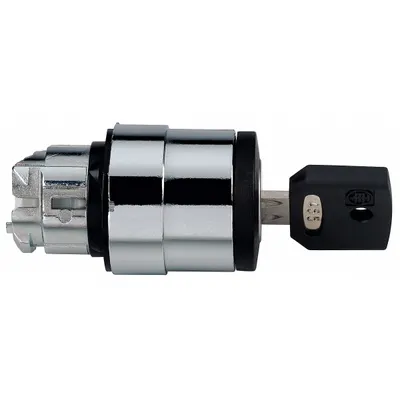 SCHNEIDER Keyed Selector Switch: 2 Position, 22 mm Panel Mounting Size - Panel-Mounted Key Switches without Contacts