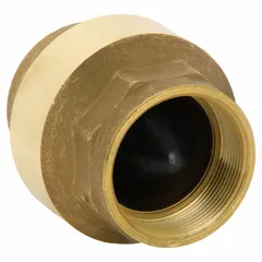 This BONOMI inline disc check valve features a lead-free brass body with 2-inch FNPT x FNPT connections. It is designed to prevent backflow in piping systems handling gas, oil, or water media. Suitable for commercial and industrial flow control applications.