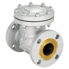 This carbon steel inline swing check valve features a flange x flange connection for 2 1/2 in pipe size. The swing disc automatically closes upon flow reversal to prevent backflow in piping systems. Suitable for industrial applications such as water, oil, and gas lines where backflow prevention is required.