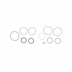 Replacement seal kit for FILL-RITE pumps, containing nine O-rings and one square seal. Made from Viton fluoroelastomer for resistance to fuels, oils, and chemicals. Used to repair leaks and restore sealing integrity in industrial fuel-transfer and fluid-handling pump applications.