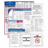 COMPLYRIGHT Labor Law Poster Set: ME, English, Plastic, 2 1/2 in x 25 in, 9 Posters Included (MPN EFEDSTCRPSECME)