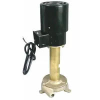 DAYTON Machine Tool Pump: 230V AC, 1/25 hp, 500 SUS Max Visc, 7.1 gpm Max Flow, 3/8" NPT, Manual (MPN 4JPG5)