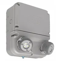 LED Emergency Light: 12 W Lamp Watt, 24 W Emergency Watt, 120V AC, 2 Lamp Heads, Plastic, Surface (MPN DYN12I-4X-06L)