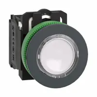 SCHNEIDER Illuminated Push Button: Illuminated, Flush Profile, Non-Metallic, 30 mm, 1NO/1NC (MPN XB5FW31G5)