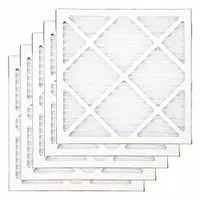 Air Filter: Air Filter, 16 in Nominal Ht, 16 in Nominal Wd, 1 in Nominal Dp, 1 Stages (MPN B-AIR-AS-PF)