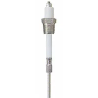 LUMENITE Liquid Level Probe: 1 Probes, NPT, 1/2 in Process Connection Size, 12 in Probe Lg (MPN PHST12Q12"UN)