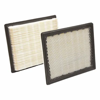 FLEETGUARD Automotive Air Filter: Panel, Cabin, Cabin Air Filter, 13 3/16 in Overall Lg - Panel Cabin Air Filters