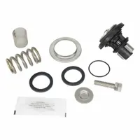 WILKINS Valve Repair Kit: EPDM/Resin/Rubber/Stainless Steel, Mfr Part # RK1-600XL3HR