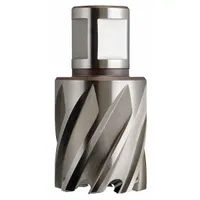 SLUGGER BY FEIN Annular Cutter: 1 in Cutter Dia, 1 in Max Cutting Dp, Bright, High Speed Steel (MPN 63134254121)