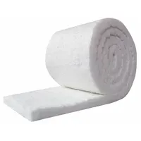 Ceramic Fiber Insulation: Aluminum Silicate, 25 ft Lg, 4 ft W, 1 in Thick, 75 lb Wt, 0.75 R-Value (MPN CF8-1-48X25)