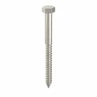 Hex Head Lag Screw: 1/2 in Size, 5 1/2 in Lg, Stainless Steel, NL-19, 5 PK (MPN FBLB1255P5)